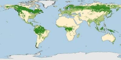 Austrálie lesy mapa